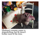 Illustration for article titled “Marlowe the Monster” is a sculpted webcomic of melancholy moments
